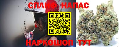 амф Кимры