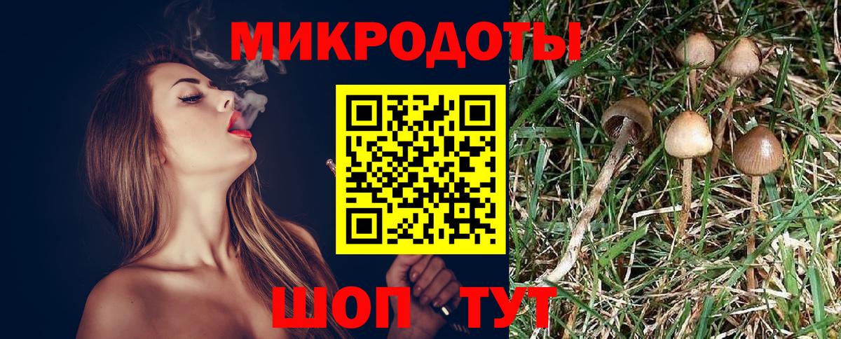 Псилоцибиновые грибы MAGIC MUSHROOMS  Вход с VPN  Кызыл  Галлюциногенные грибы Cubensis 